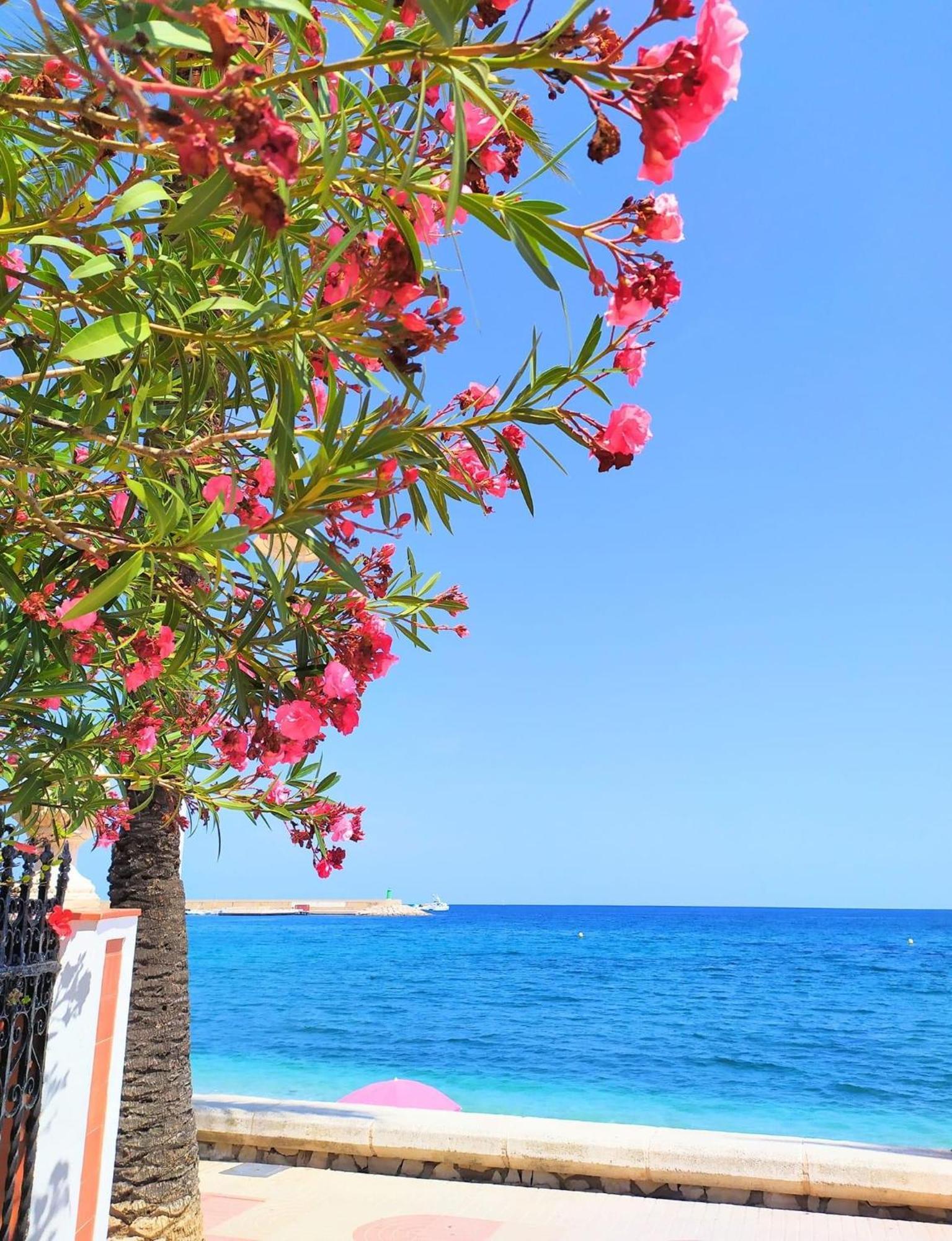 Javea Arenal Beach المظهر الخارجي الصورة