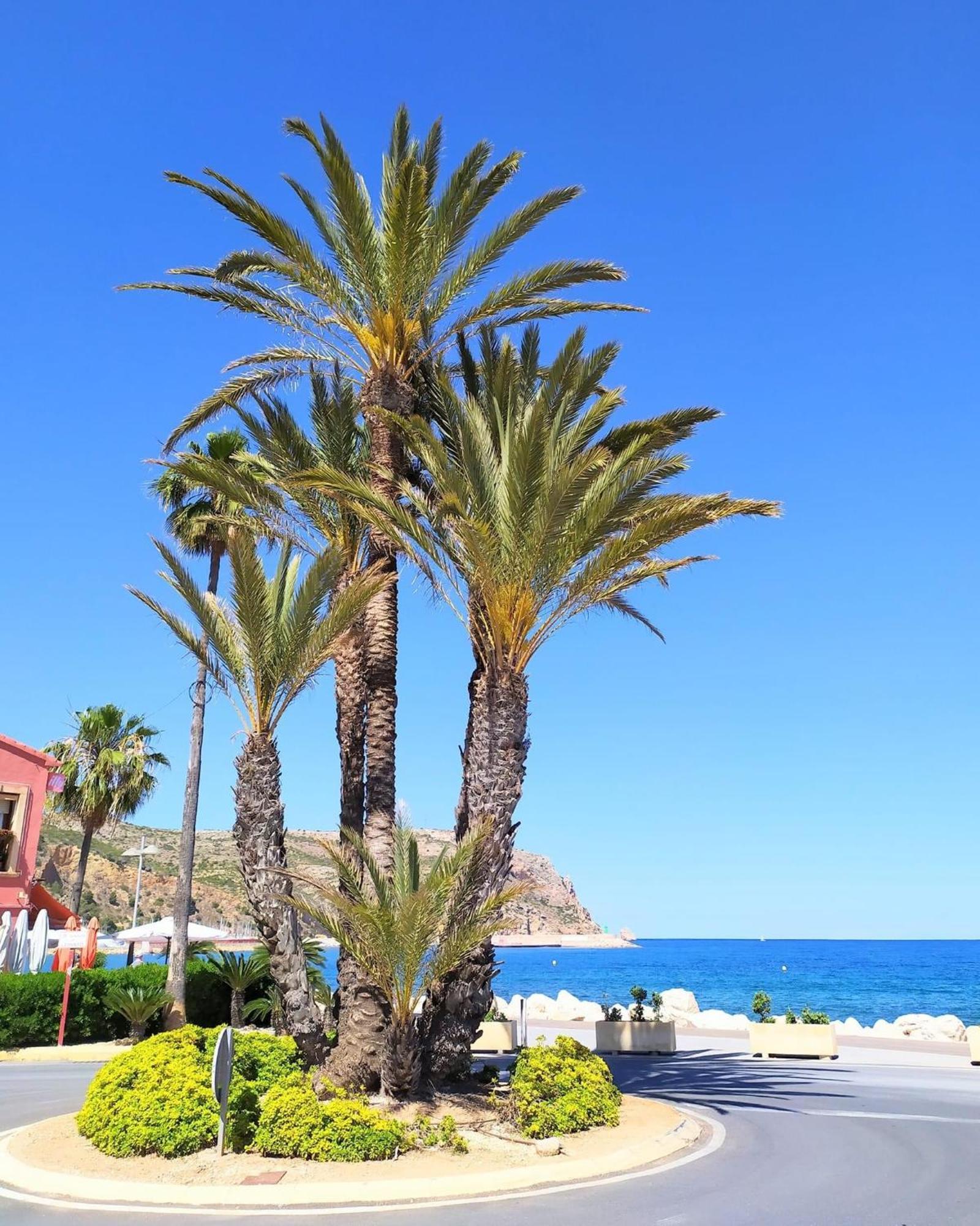 Javea Arenal Beach المظهر الخارجي الصورة